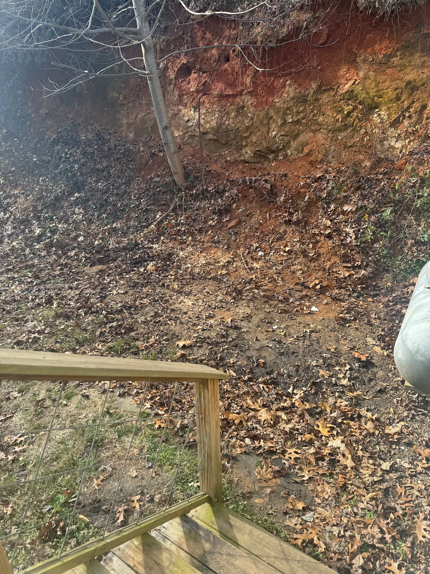 Hillside cleared after yard debris removal — Dawsonville GA